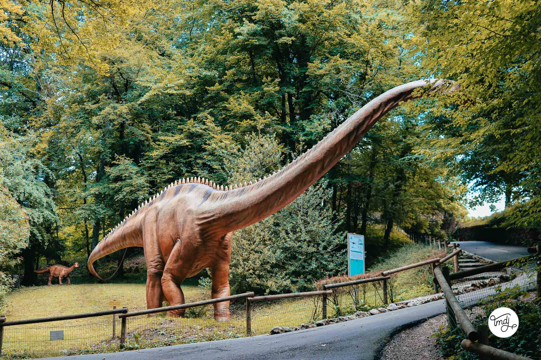 Visite de Dino-zoo