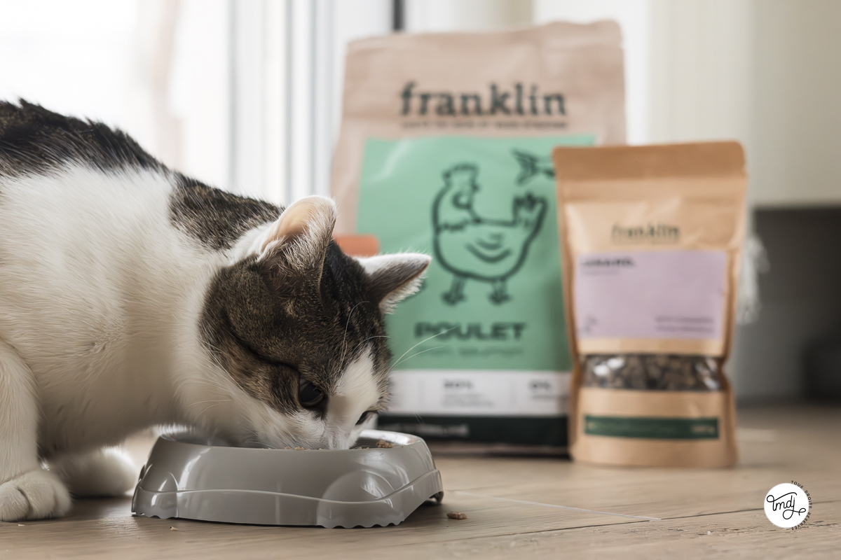 Franklin Pet Food : l'alimentation dont raffole mon chat
