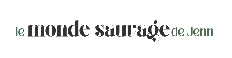 dark logo