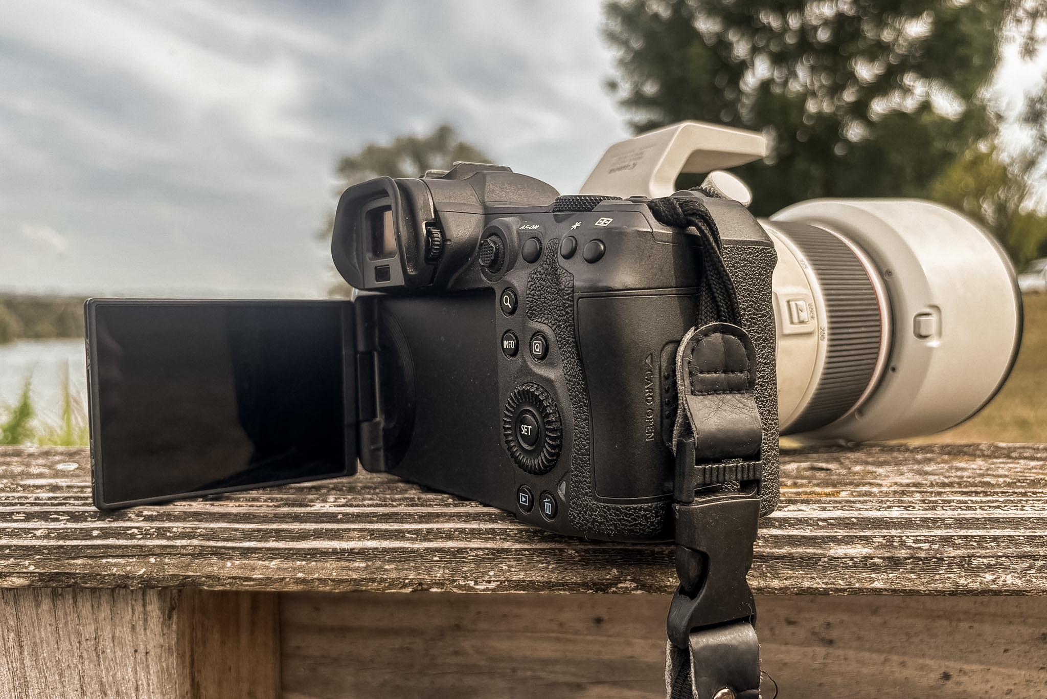Commandes et écran arrière du Canon EOS R5