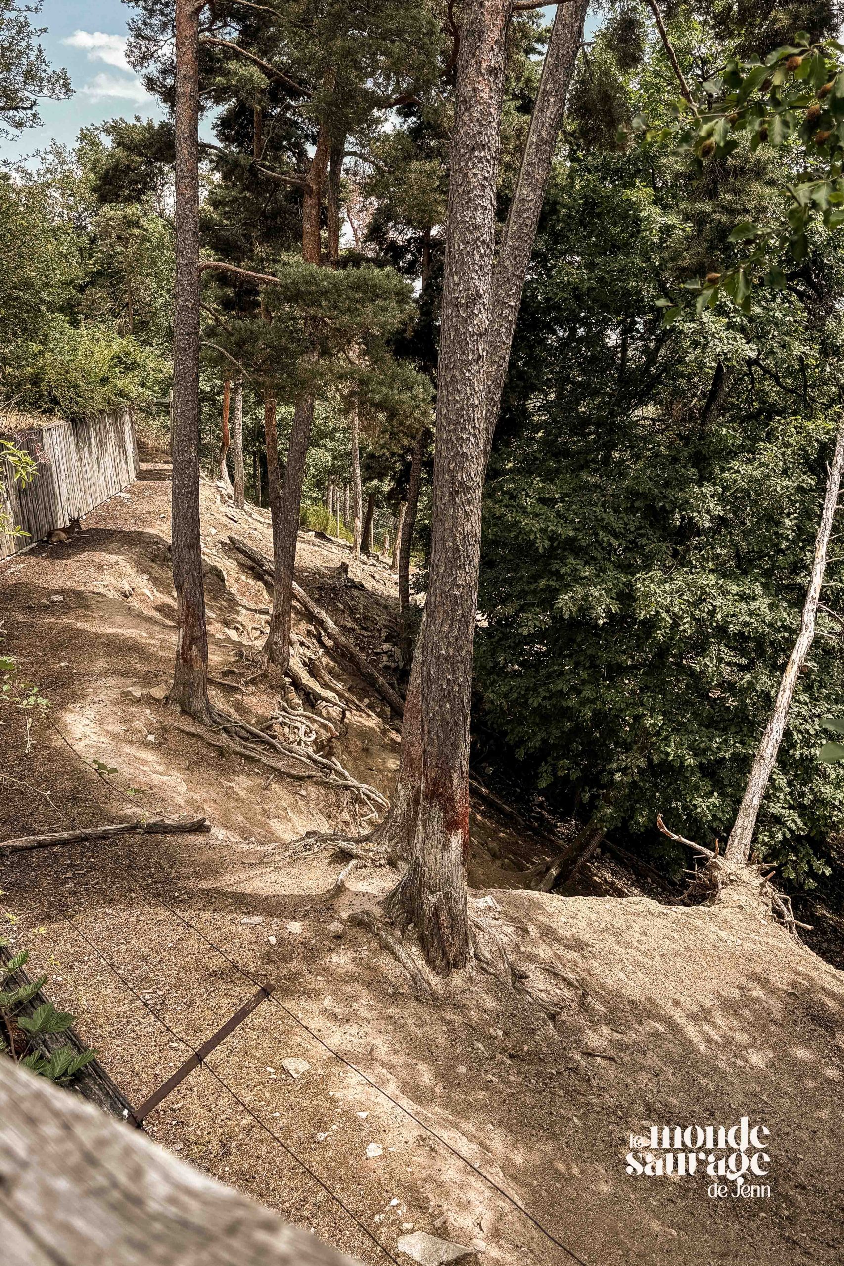 Parc Animalier d'Auvergne lors de notre visite en famille